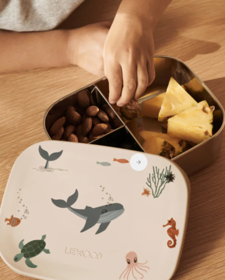 Arthur Lunchbox Zeedier / Zanddier