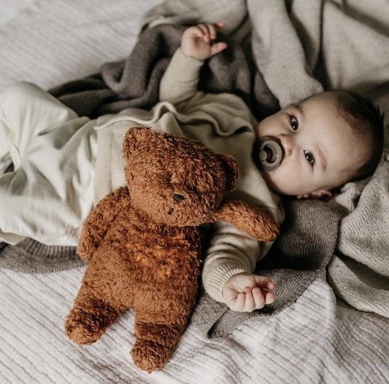 Knuffel beer Moonie met licht en geluid camel